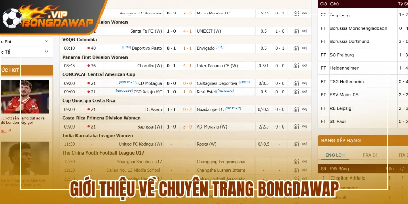 BongDaWap - Cập Nhập Dữ Liệu Bóng Đá Số Trực Tuyến 116 Giới thiệu về chuyên trang BongdaWap