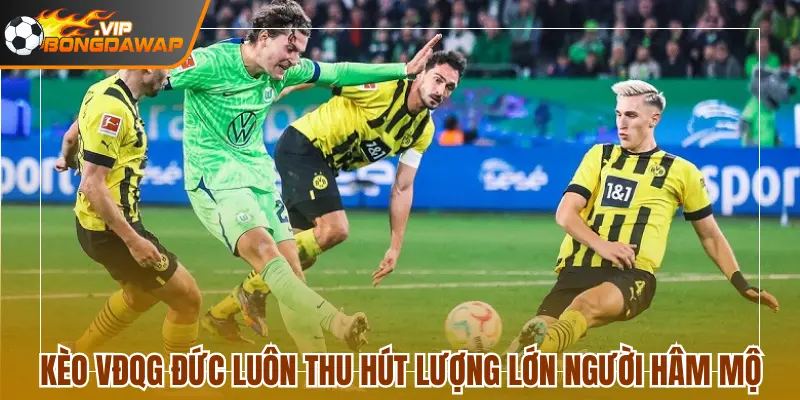 Kèo VĐQG Đức luôn thu hút lượng lớn người hâm mộ