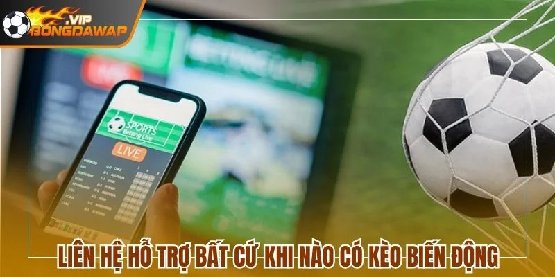 Liên hệ hỗ trợ bất cứ khi nào có kèo biến động